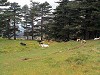 tipico-ambiente-sardo