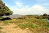 verde di Sardegna