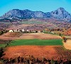 La Pietra Parcellara