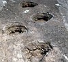 Le Piste dei Dinosauri a Rovereto