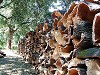 Gallura: il sughero