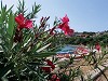 Territori della Sardegna: il nuorese