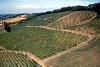 Colline di Verona