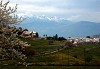 La pieve di S. Floriano