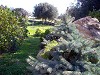Costa nord est Gallura: Budoni