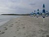 Appuntamenti a Budoni