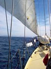 A bordo di Dovequinto