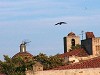 Provincia della Gallura: Olbia