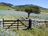 Sardegna e le nuove provincie: la Gallura
