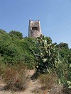 Il turismo a Tortoli'