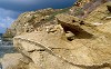 Storia della provincia di Oristano