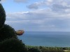 Itinerari in Ogliastra: Girasole