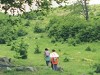 L'entroterra ogliastrino: Perdasdefogu