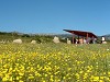 Triei e il Parco di Mullò in Ogliastra