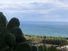 fichi-d'india-su-uno-sfondo-marino