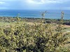 paesaggi-Ogliastrini