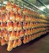 la stagionatura del Prosciutto crudo di Modena