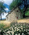 Appennino modenese: Riolunato
