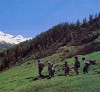 Escursioni a Montese