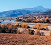Travo e la Pietra Parcellara