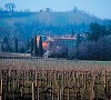 Itinerari piacentini: Vigolzone
