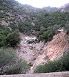 Itinerari nel cuore verde della Sardegna
