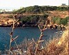 Dintorni di Alghero: Fertilia