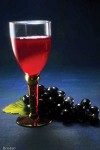 Vini ad Alghero: tradizione ed innovazione