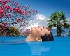 Merano: le Terme in un colpo d’occhio