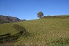 veduta della Val Perino