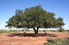 Moroto 24 luglio 2007