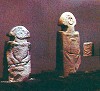 Museo di Storia Naturale